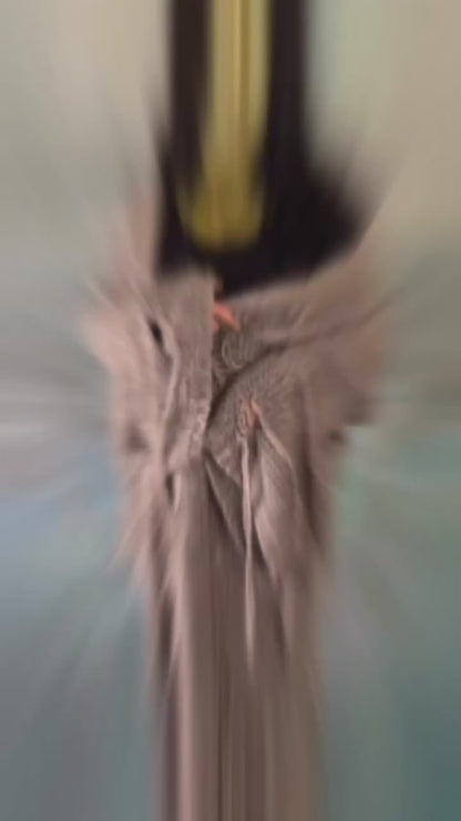 PRE ORDER: For the first time i feel…Cardigan (Inspired by the viral “s*x cardigan”)